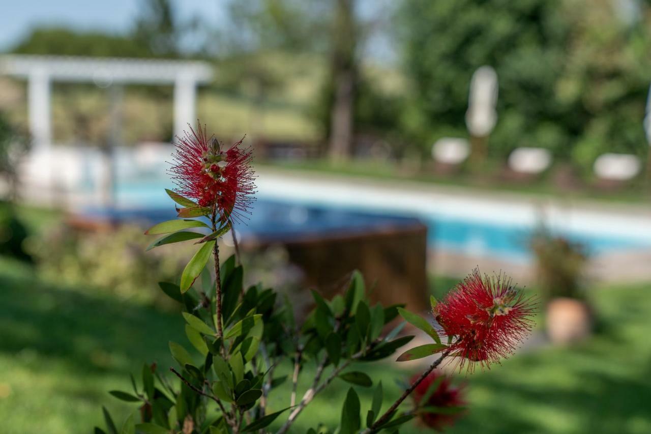 Le Maracla Country House Iesi Eksteriør bilde